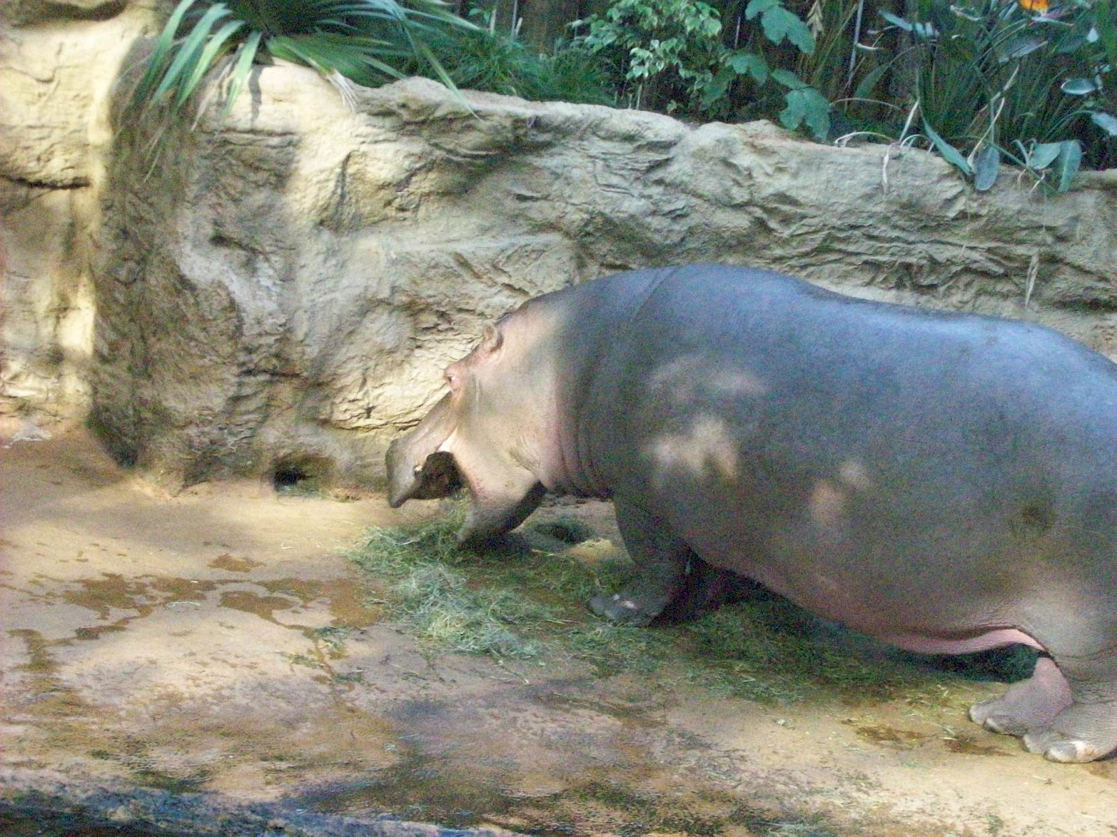 Zoom 18.10.2008-196.jpg